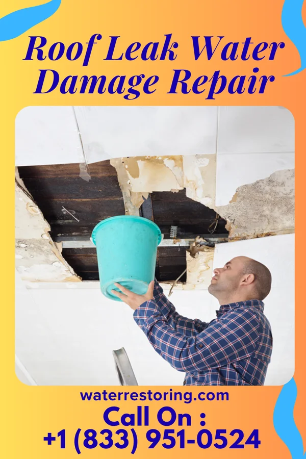 Roof Leak Water Damage Repair in Norris, TN