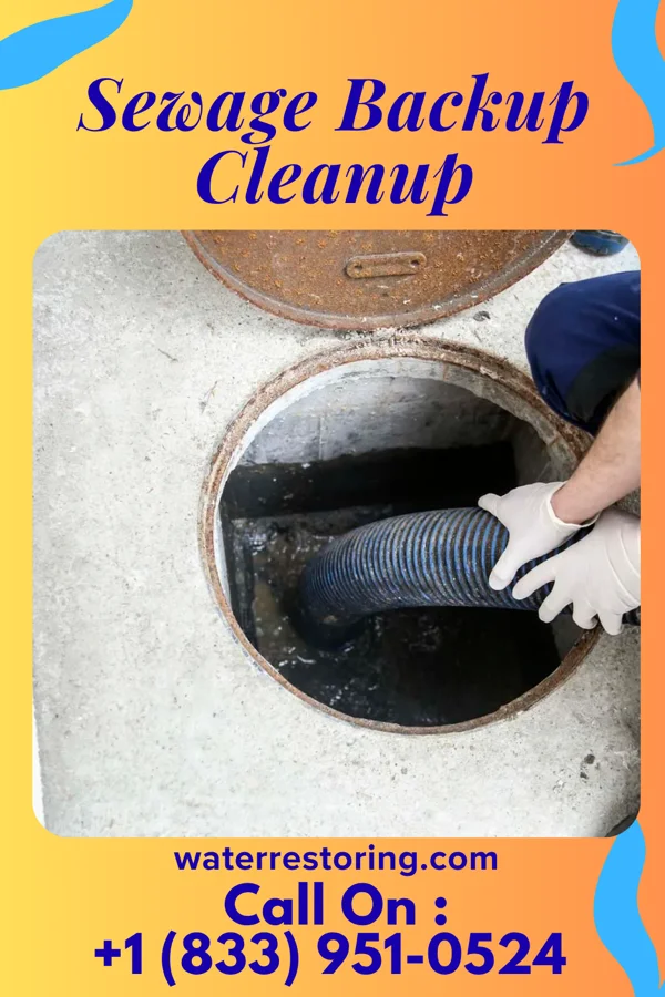 Sewage Backup Cleanup in Norris, TN