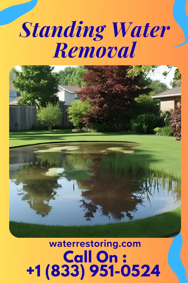 Standing Water Removal in Norris, TN